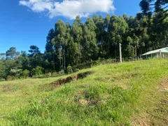 Fazenda / Sítio / Chácara com 1 Quarto à venda, 60000m² no Serra Grande, Gramado - Foto 25