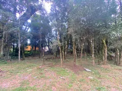 Terreno / Lote / Condomínio à venda, 802m² no Floresta, Gramado - Foto 16