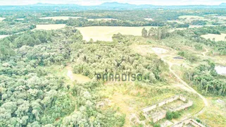 Terreno / Lote Comercial à venda, 291000m² no Campina, São José dos Pinhais - Foto 2