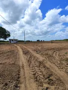 Fazenda / Sítio / Chácara com 3 Quartos à venda, 13500m² no Zona Rural, Monte Alegre - Foto 20