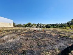 Terreno / Lote / Condomínio à venda, 1562m² no Jardim America I, Uberlândia - Foto 2