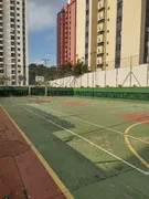 Apartamento com 3 Quartos para alugar, 67m² no Jardim Bonfiglioli, São Paulo - Foto 29