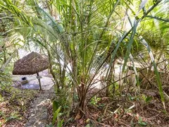 Casa de Condomínio com 4 Quartos à venda, 400m² no Ponta Grossa, Ubatuba - Foto 11