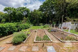 Fazenda / Sítio / Chácara com 5 Quartos à venda, 148m² no Faxina, São José dos Pinhais - Foto 8