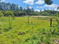 Fazenda / Sítio / Chácara à venda, 3108m² no Centro, Bocaiúva do Sul - Foto 21