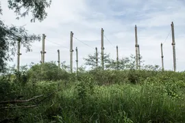 Galpão / Depósito / Armazém para venda ou aluguel, 10200m² no TRAVESSAO, Campos dos Goytacazes - Foto 64