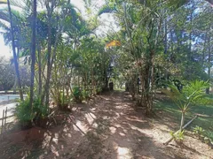 Fazenda / Sítio / Chácara com 1 Quarto à venda, 180m² no Chácara Leila, São Carlos - Foto 1