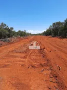 Fazenda / Sítio / Chácara à venda, 134m² no Zona Rural, Felixlândia - Foto 8