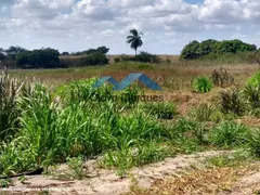 Fazenda / Sítio / Chácara à venda, 275000m² no Trairas, Macaíba - Foto 6