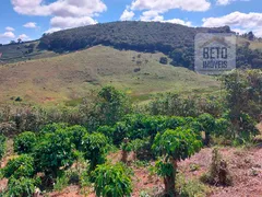 Fazenda / Sítio / Chácara à venda, 780000m² no Centro, Caputira - Foto 3