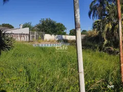 Terreno / Lote / Condomínio à venda, 1350m² no Pinheiro Machado, Santa Maria - Foto 3