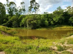 Fazenda / Sítio / Chácara com 3 Quartos à venda, 150m² no Zona Rural, Quadra - Foto 41