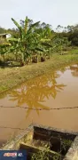 Fazenda / Sítio / Chácara com 5 Quartos à venda, 225m² no Água Branca, Igaratá - Foto 40