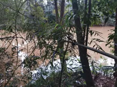 Fazenda / Sítio / Chácara para alugar, 5500m² no Água Branca, Francisco Beltrão - Foto 8