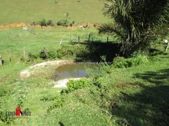 Fazenda / Sítio / Chácara com 3 Quartos à venda, 2081200m² no Zona Rural, Rio Bonito - Foto 22