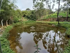 Fazenda / Sítio / Chácara com 4 Quartos à venda, 12800m² no Caucaia do Alto, Cotia - Foto 43