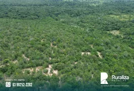 Fazenda / Sítio / Chácara à venda, 300m² no Zona Rural, Goianorte - Foto 4