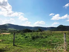 Fazenda / Sítio / Chácara à venda, 116m² no Novo Horizonte, São Pedro - Foto 7
