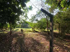 Fazenda / Sítio / Chácara com 3 Quartos à venda, 280m² no Dom Pedro, Londrina - Foto 43