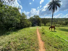 Fazenda / Sítio / Chácara com 3 Quartos à venda, 200m² no , Mateus Leme - Foto 58