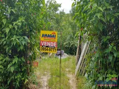 Fazenda / Sítio / Chácara com 2 Quartos à venda, 60m² no Paratei do Meio, Jacareí - Foto 7