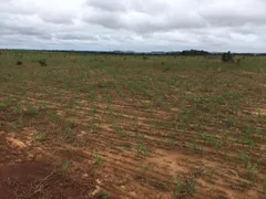 Fazenda / Sítio / Chácara com 7 Quartos à venda no , Goiatins - Foto 5