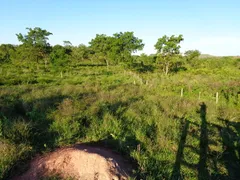 Fazenda / Sítio / Chácara com 1 Quarto à venda, 61000000m² no Vale do Sol, Campo Verde - Foto 20