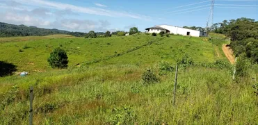 Fazenda / Sítio / Chácara com 2 Quartos à venda, 890000m² no Lagoinha, Tijucas do Sul - Foto 10