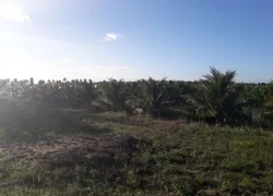 Fazenda / Sítio / Chácara com 2 Quartos à venda, 380000m² no Zona Rural, Conde - Foto 12