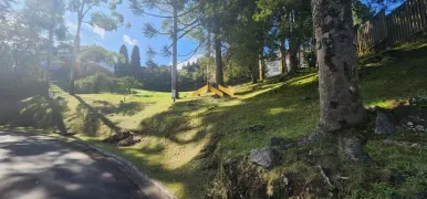 Terreno / Lote / Condomínio à venda, 2358m² no Floresta, Gramado - Foto 5