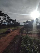 Fazenda / Sítio / Chácara com 3 Quartos à venda, 5000m² no Area Rural do Paranoa, Brasília - Foto 13