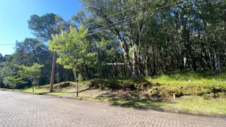Terreno / Lote / Condomínio à venda, 728m² no Pinheiro Grosso, Canela - Foto 2