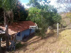 Fazenda / Sítio / Chácara com 2 Quartos à venda, 100m² no Centro, Pirenópolis - Foto 4