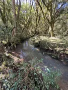 Fazenda / Sítio / Chácara com 1 Quarto à venda, 20000m² no Vila Seca, Caxias do Sul - Foto 8