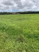 Fazenda / Sítio / Chácara com 3 Quartos à venda, 30000m² no Centro, Ceará Mirim - Foto 6