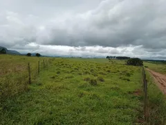 Fazenda / Sítio / Chácara com 2 Quartos à venda, 96800m² no Zona Rural, Altinópolis - Foto 1