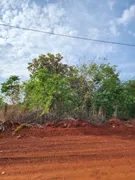 Terreno / Lote / Condomínio à venda, 10619m² no Centro, Aragoiânia - Foto 4