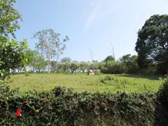 Fazenda / Sítio / Chácara com 4 Quartos à venda, 25000m² no Agro Brasil, Cachoeiras de Macacu - Foto 28