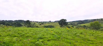 Fazenda / Sítio / Chácara à venda, 150000m² no Centro, São Joaquim - Foto 3