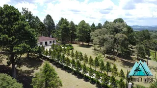 Fazenda / Sítio / Chácara com 3 Quartos à venda, 300m² no Zona Rural, Campo Alegre - Foto 12