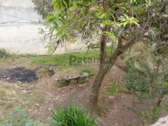 Terreno / Lote / Condomínio para venda ou aluguel, 524m² no Jardim Jussara, São Paulo - Foto 7