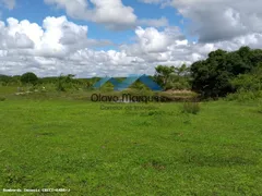 Fazenda / Sítio / Chácara à venda, 275000m² no Trairas, Macaíba - Foto 5