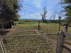 Fazenda / Sítio / Chácara à venda, 30000m² no Pinheirinho, Taubaté - Foto 15