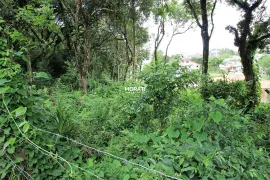 Terreno / Lote / Condomínio à venda, 400m² no Roseira de São Sebastião, São José dos Pinhais - Foto 2