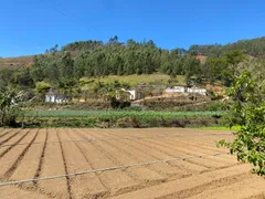 Fazenda / Sítio / Chácara com 5 Quartos à venda, 205m² no Santa Rosa, Teresópolis - Foto 2