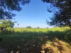 Fazenda / Sítio / Chácara com 2 Quartos à venda, 100000m² no Zona Rural, Glória do Goitá - Foto 7