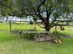 Fazenda / Sítio / Chácara com 3 Quartos à venda, 150m² no Area Rural de Goiania, Goiânia - Foto 2