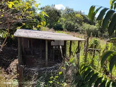 Fazenda / Sítio / Chácara à venda, 12000m² no Zona Rural, Itatiaiuçu - Foto 9