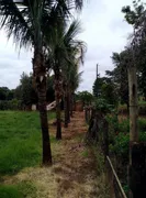 Fazenda / Sítio / Chácara com 2 Quartos à venda, 170000m² no Zona Rural, Monte Alegre de Minas - Foto 22