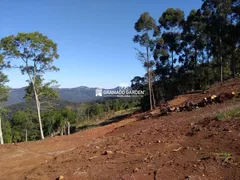 Fazenda / Sítio / Chácara à venda, 30000m² no Vila Jardim, Gramado - Foto 19